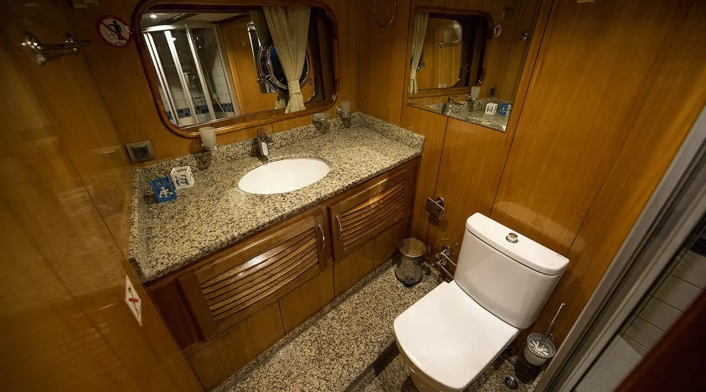 Luxurious wooden bathroom with granite counter, sink and mirrors