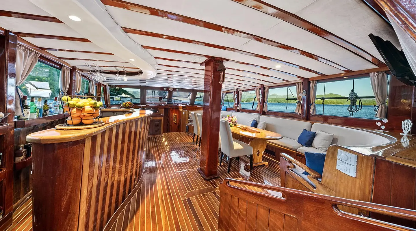 Elegant yacht deck with polished wood, white seating, and coastline in distance