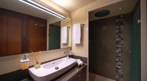 Bathroom with a long sink, mirrored cabinets, and towels; shower area in the back