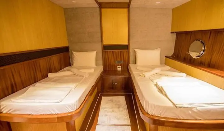 Nevra Queen yacht cabin with twin beds and ensuite, wood panels