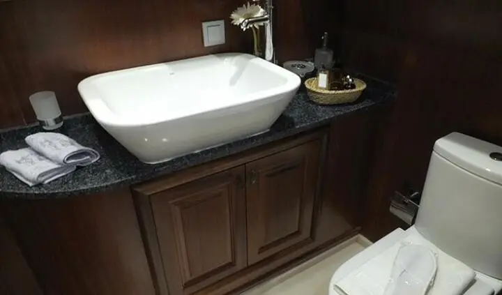 Cabin with a pedestal sink, dark wood cabinets and toilet