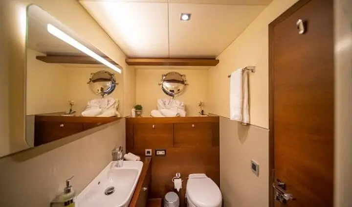 Double Eagle cabin interior with king bed, ensuite, wood accents, ceiling vent