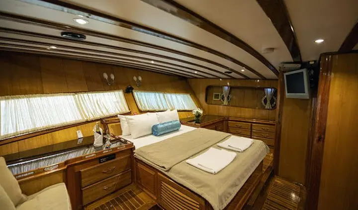 Master cabin with king bed, wood paneling, ensuite area, soft lighting