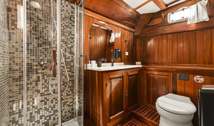 Small cabin ensuite bathroom with wood paneling and mosaic shower tiles