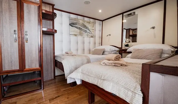 Twin cabin with two beds and ensuite, wood floors and bedside lamps