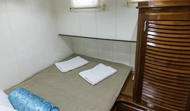 Small cabin with two pillows on a bed and beige carpeted floor