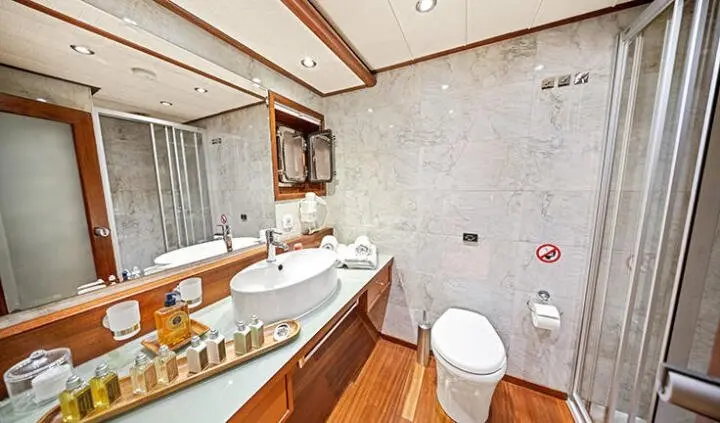 Master cabin with king bed, ensuite bathroom, wood vanity, and mirror
