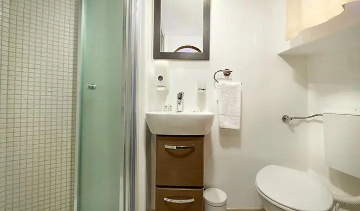Compact cabin scene with sink, mirror, wooden cabinet, and toilet