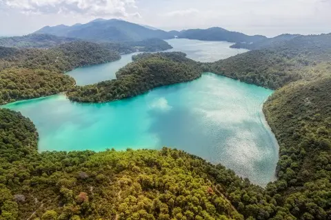Mljet