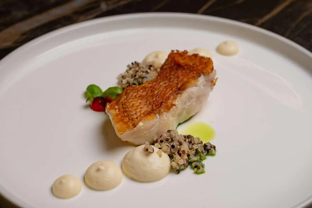 Yacht Love Story dish with seared fish, white sauce dots, and greens on plate