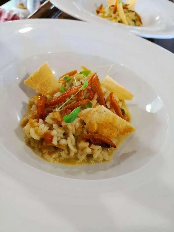 Plate of plated food with fried items and sauce on a white table
