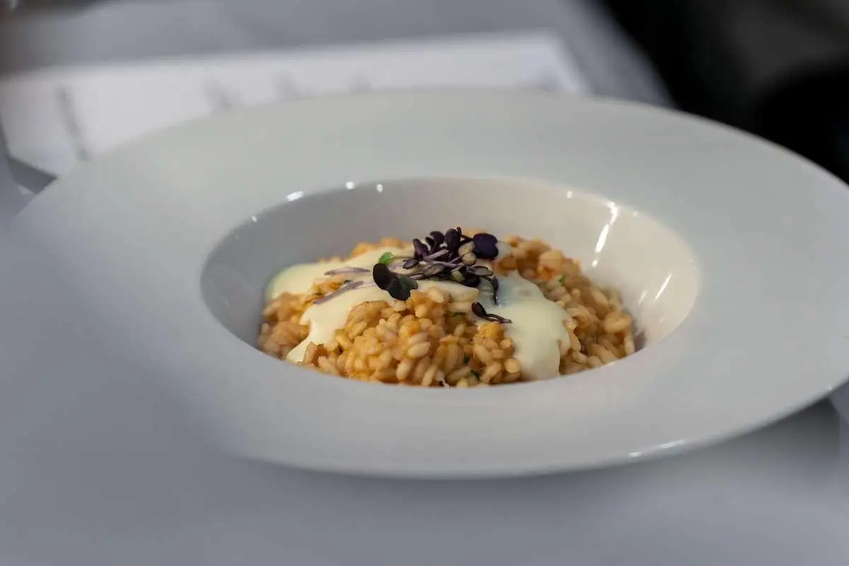 Creamy risotto topped with microgreens and a light sauce on a white plate