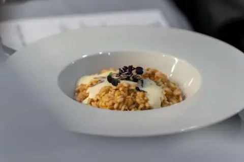 Creamy risotto topped with microgreens and a light sauce on a white plate