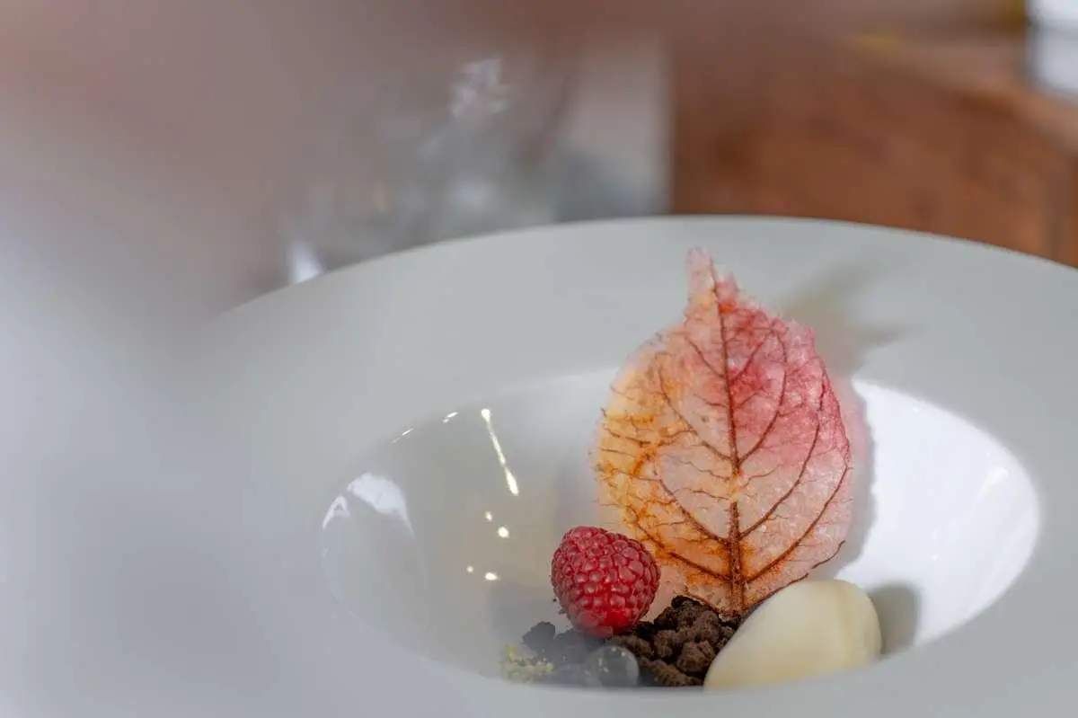 Close-up of a plate with a small red leaf garnish and berries on a white dish