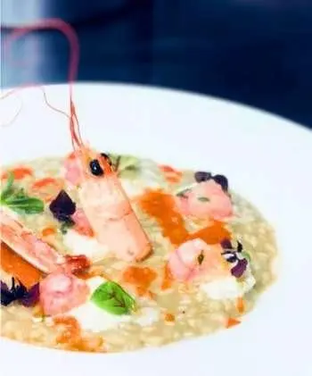 Navilux yacht scene with a plate of colorful seafood dip and shrimp garnish