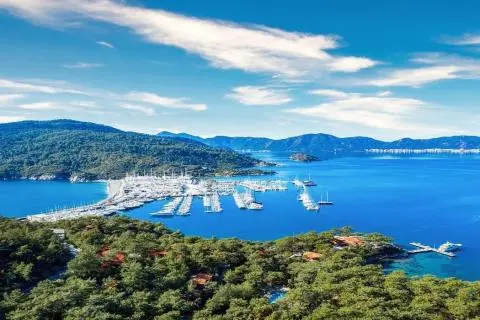 Marina with sailboats and yachts moored in a blue bay beside forested coastline