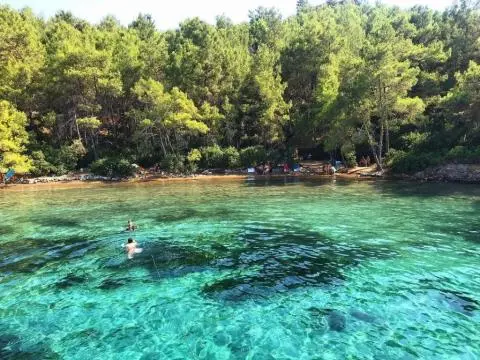 Two swimmers in clear turquoise water with pine-forested shoreline in background