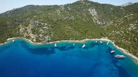 Yachts anchored near a forested rocky shoreline with clear blue water
