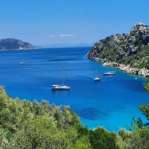 Several sailboats anchored in a turquoise bay surrounded by rocky green coastline