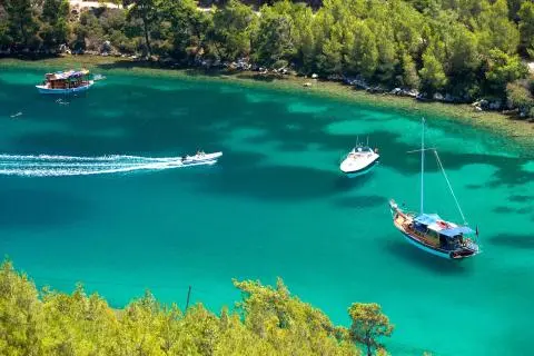 Turquoise bay with a docked yacht and small boats by pine shore