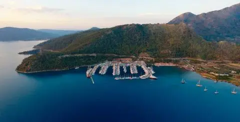 Marina with dozens of moored sailboats and yachts beside a forested peninsula