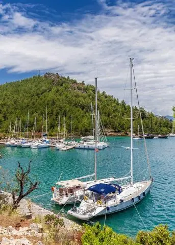 Two sailboats with blue canopy anchored in emerald-green cove with forested hill behind