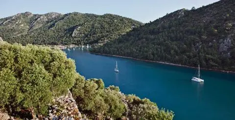 Two sailboats anchored in a deep-blue bay surrounded by forested hills and rocky shoreline