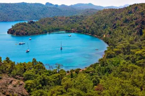 Turquoise bay with sailboats tethered near pine-covered hills and clear water