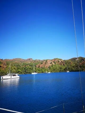 White sailboats on calm blue water near tree-covered rocky shoreline