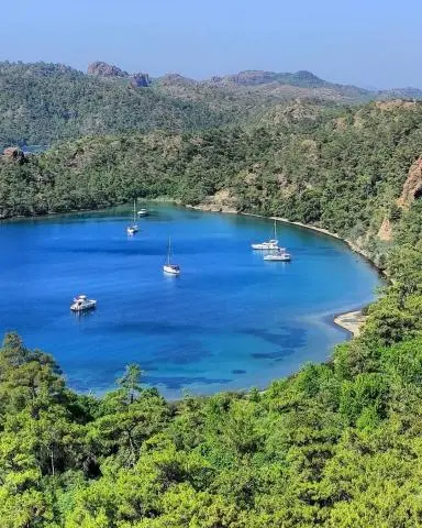 Yacht charter scene with several boats anchored in calm blue bay, green hills surrounding
