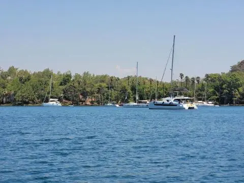 Several sailboats and a catamaran anchored near a tree-lined shore on clear blue water