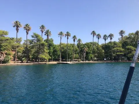 Coastal water with palm trees and a boat pole near calm blue sea