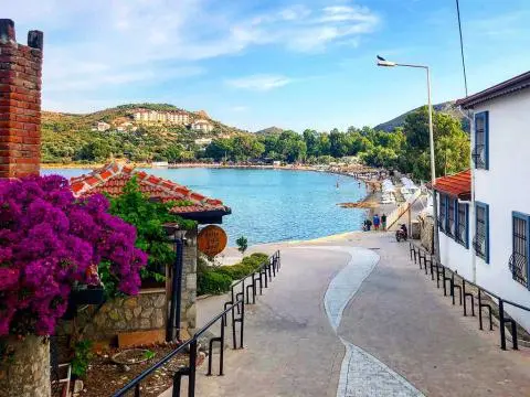 Paved path leading to a bay with blooming bougainvillea and water view