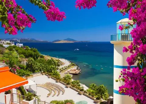 White lighthouse framed by magenta bougainvillea overlooking clear blue sea and coastline