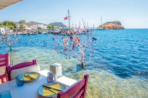 Seaside view with a white table, purple chairs and a decorated small tree in shallow water
