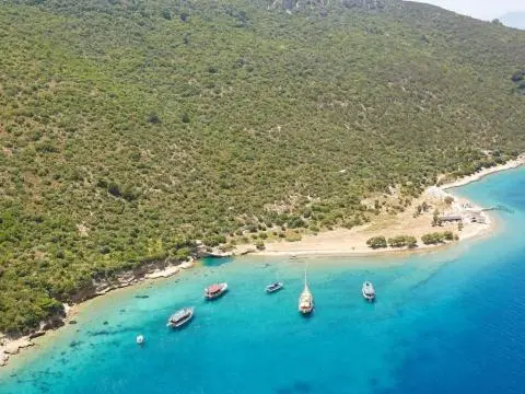 A wooded hillside and small sandy beach with several anchored boats in a turquoise bay