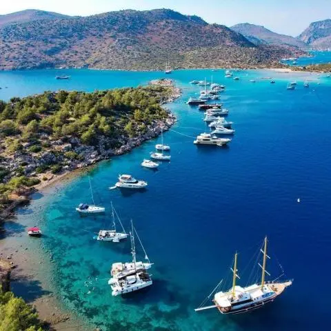 Line of anchored yachts in a cove with pine-covered shoreline and clear turquoise water