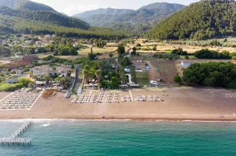 Aerial view of a beach with rows of sunbeds and umbrellas, pier and forested hills behind