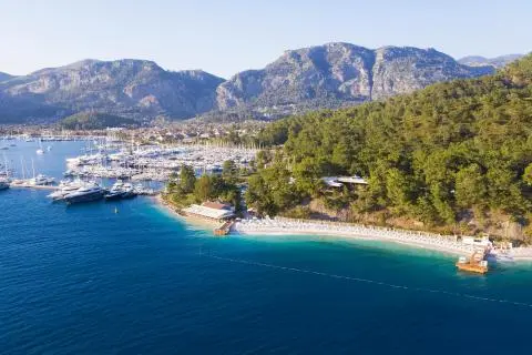 Marina with docked yachts and a sandy beach below pine-covered hills