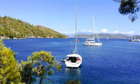 Calm sea with anchored sailboat near rocky shore and pine trees