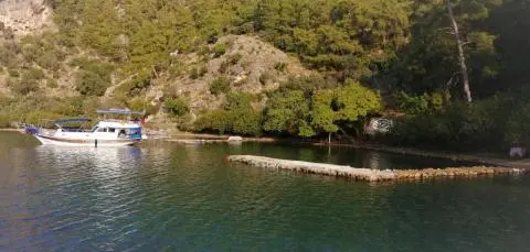 White gulet yacht moored by a green wooded shore with a stone jetty on calm water