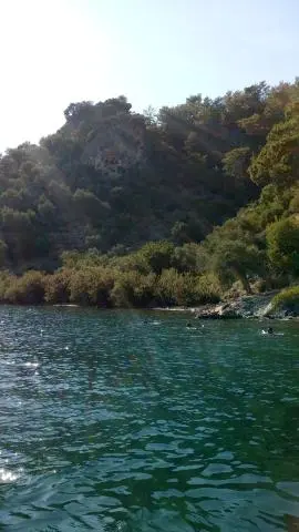 Rocky hillside with pine trees and swimmers in the turquoise water near the shore