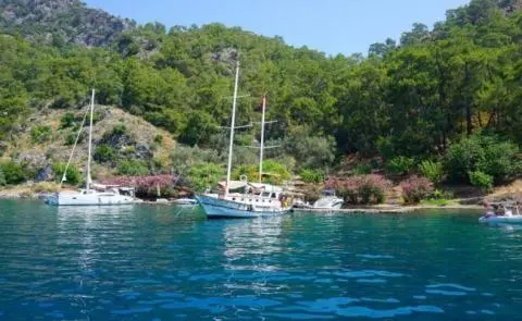 Sailboat-gulet anchored near tree-lined shore, calm blue water and green hills
