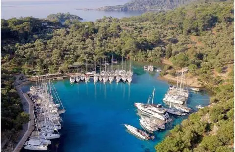 Numerous yachts and sailboats moored in a forested cove with clear blue water