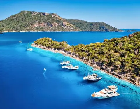 Sailboats and a motor yacht anchored in a turquoise bay beside a pine-covered green island