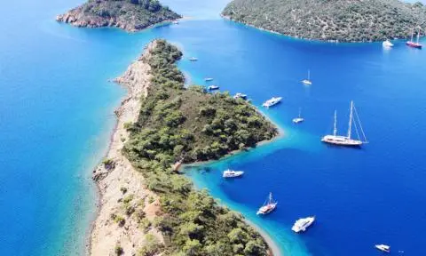 Green wooded peninsula with several sailboats and motor yachts anchored in deep blue sea