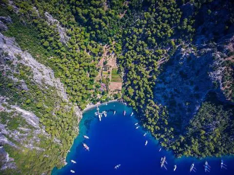 Sailboats anchored in a bright blue cove surrounded by pine forests and rocky cliffs