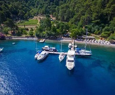 Three sailing yachts and a motor yacht docked at a forested coastline marina