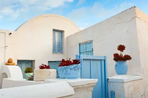 Whitewashed walls and blue wooden door and shutters with red succulents in pots on a terrace