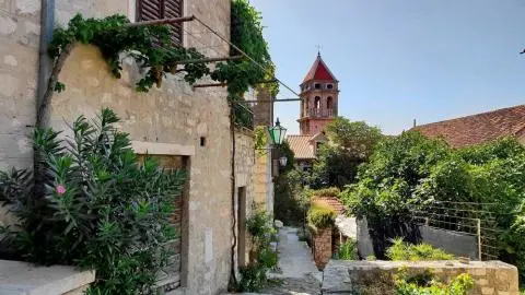 Narrow stone street with grapevine, green shrubs and a red-roofed church bell tower in distance